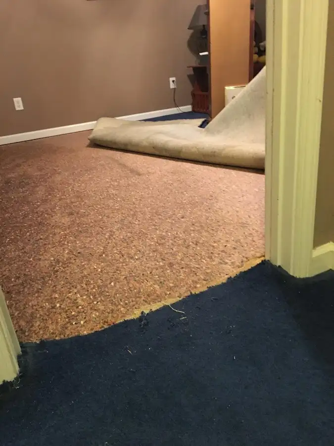 Carpet pad removal revealing water damage during Water Mitigation Services in Newnan