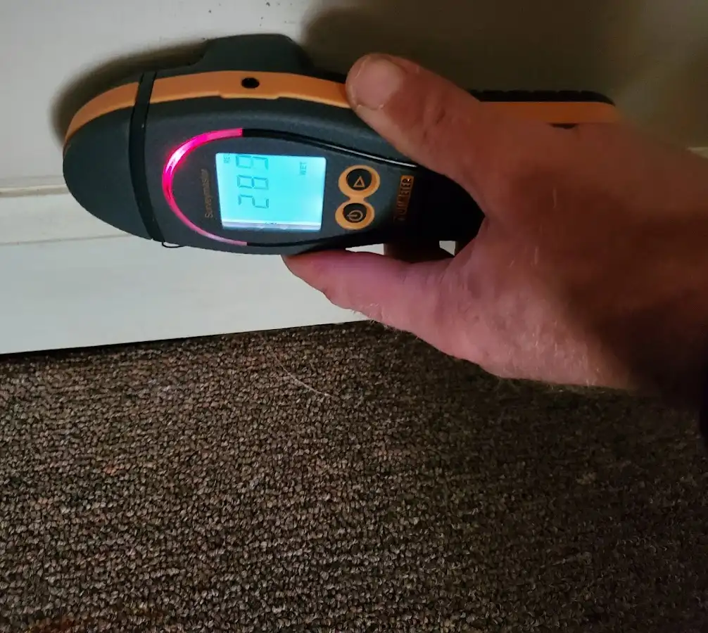 Moisture detection at baseboard during Mold Inspection & Testing in Newnan